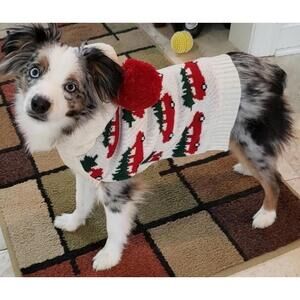 The Jingles & Joy Winter Sweater Red Christmas Truck w/ Tree Size Small Hooded